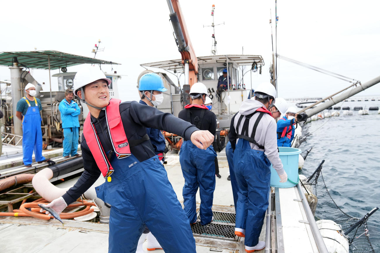 マルハニチログループの本マグロ養殖場でエサを投げ入れるDeNA松尾（撮影・横山健太）