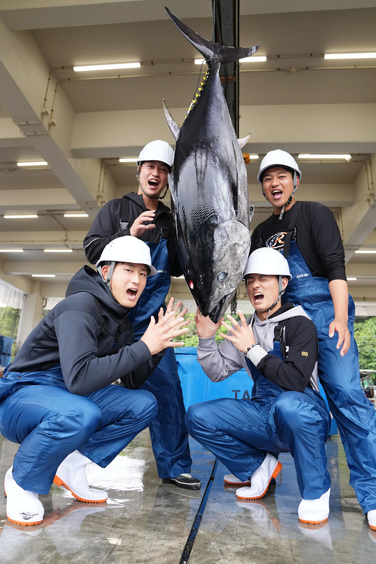 マルハニチログループの本マグロを囲みおどけるDeNA新人選手たち。前列左から松尾、林、後列左から橋本、吉野（撮影・横山健太）