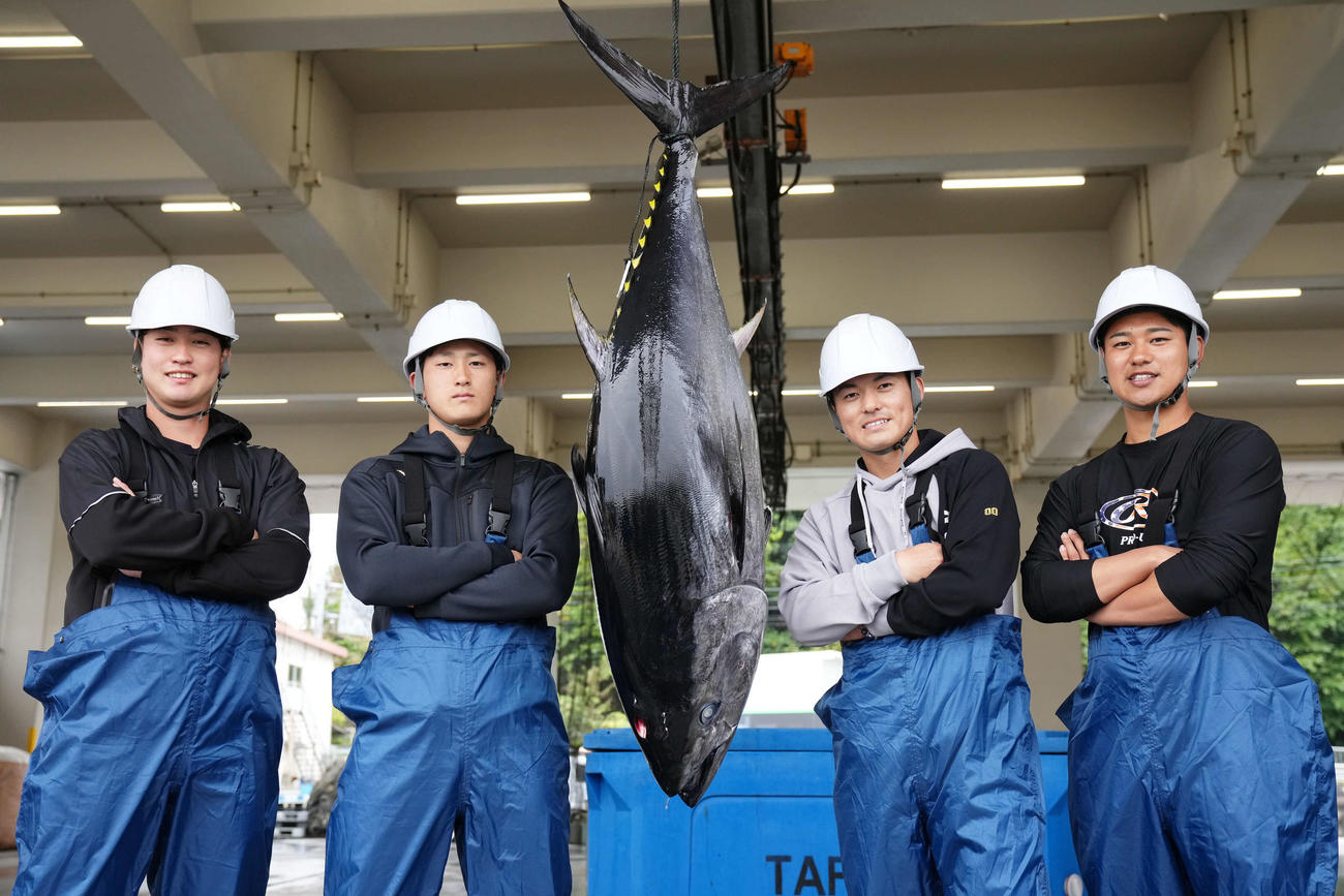 マルハニチログループの本マグロを背にポーズを決めるDeNA新人選手たち。左から橋本、松尾、林、吉野（撮影・横山健太）