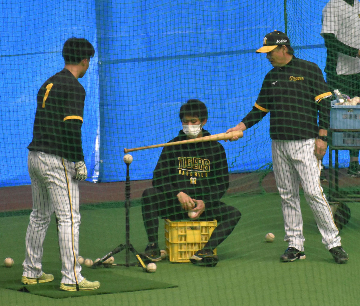 ティー打撃を行う森下翔太（左）に指導する和田豊2軍監督