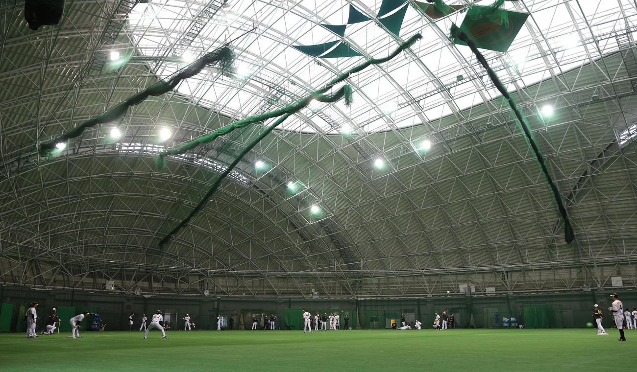 室内練習場でチームプレーの確認を行う阪神ナイン（撮影・前田充）