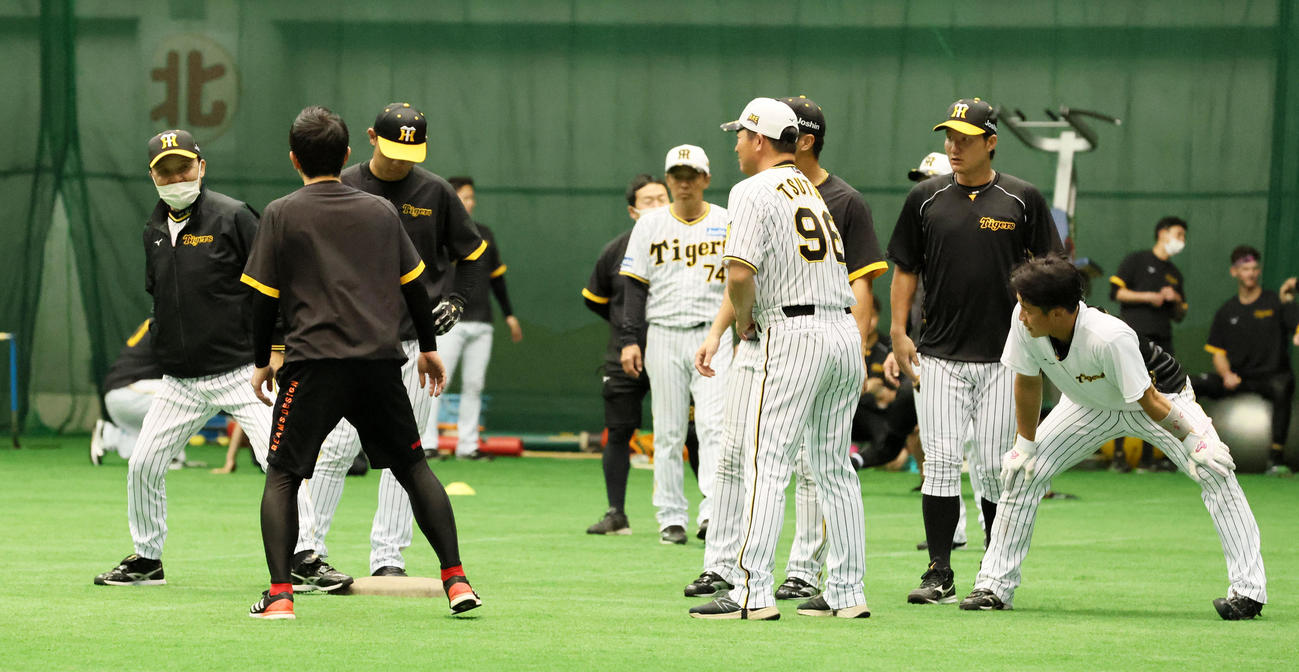 赤星臨時コーチの走塁教室で自ら帰塁してみる岡田監督（左）（撮影・加藤哉）