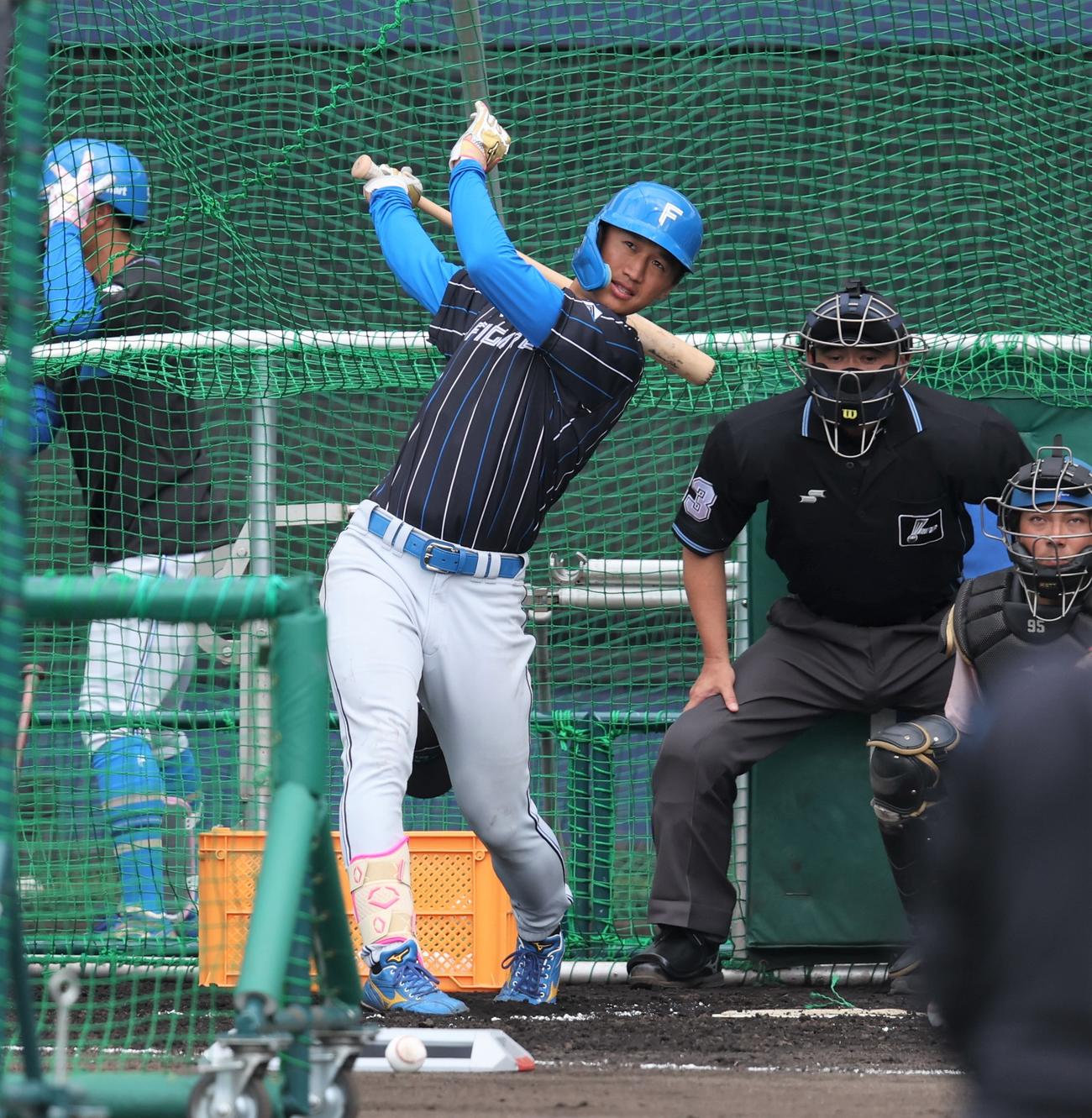 フリー打撃する日本ハム加藤豪（撮影・黒川智章）