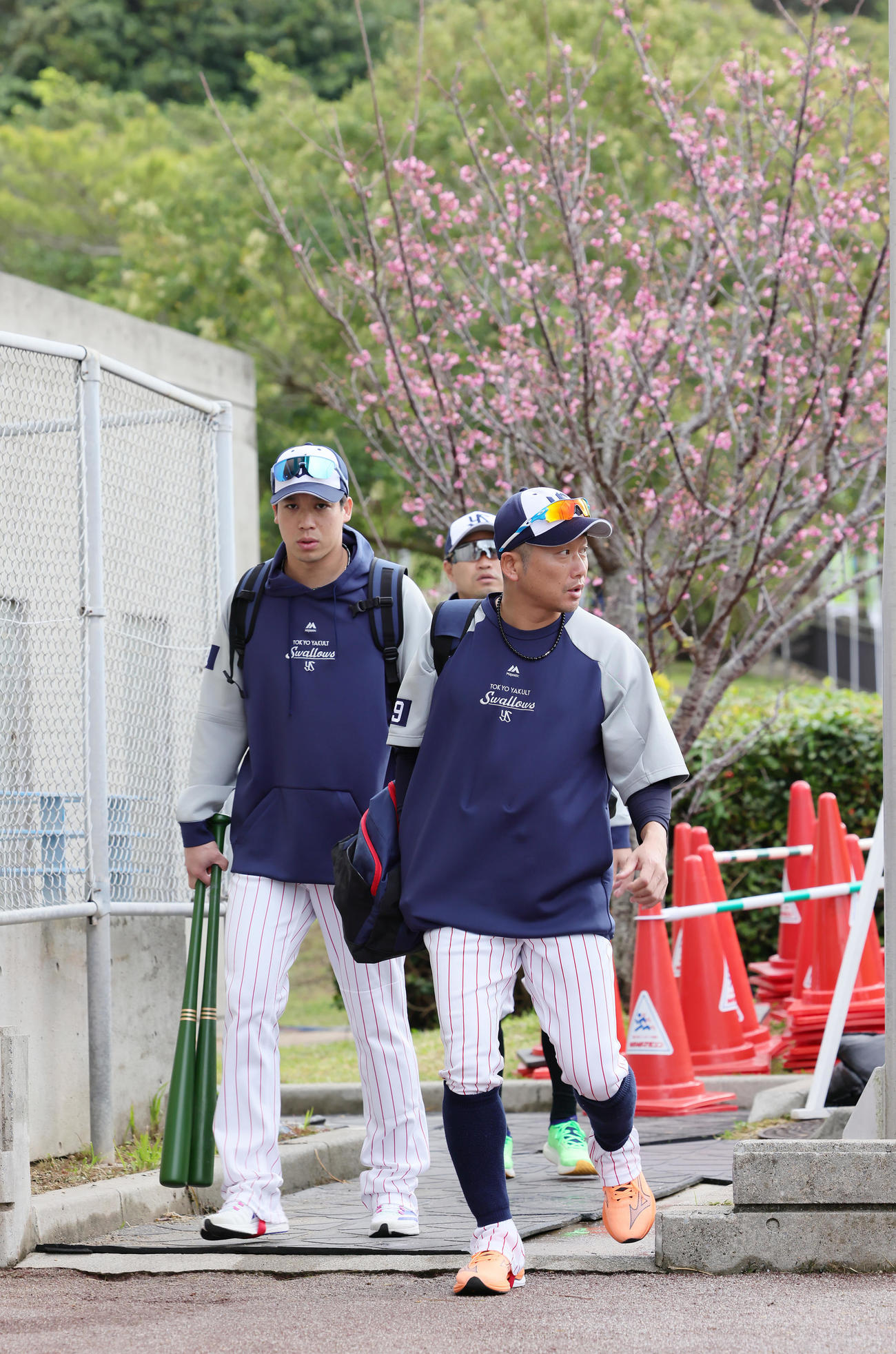 沖縄の桜を背に笑顔で練習へと向かうヤクルトの山田（左）と石川（撮影・足立雅史）