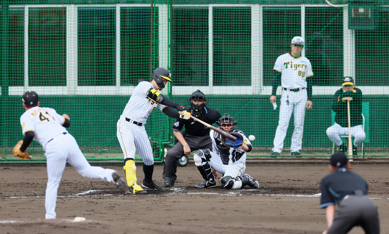 シート打撃練習の無死一塁で左線に二塁打を放つ佐藤輝。右端は岡田監督、投手は村上（撮影・加藤哉）