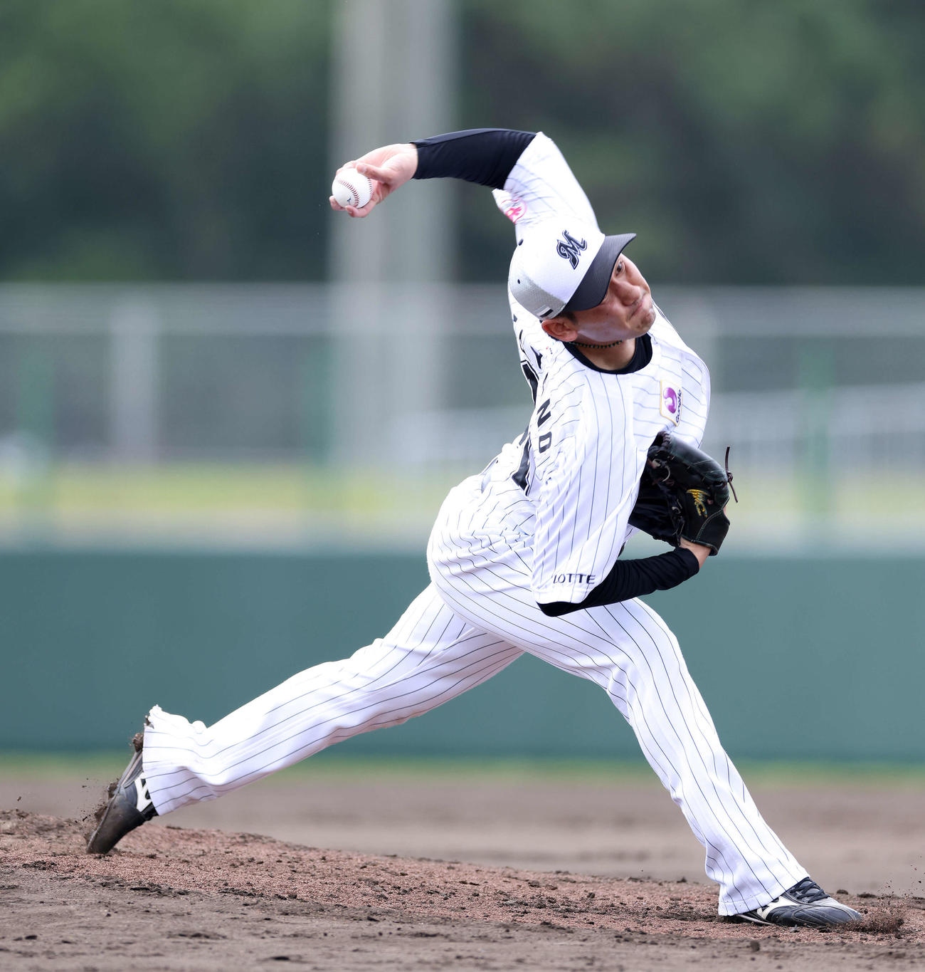打撃練習練で力投するロッテら高野（撮影・河田真司）
