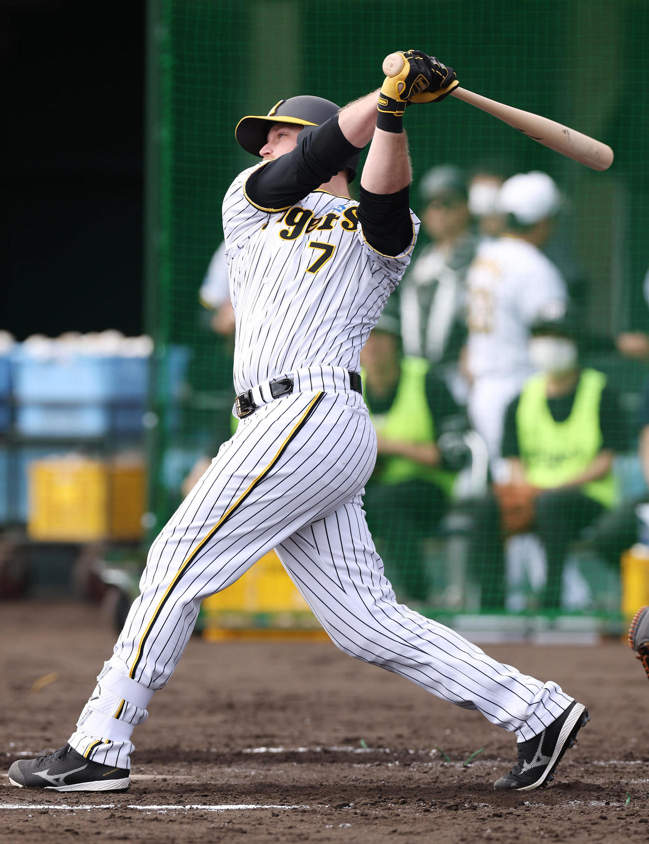 シート打撃で左越え本塁打を放つ阪神ノイジー（撮影・前田充）