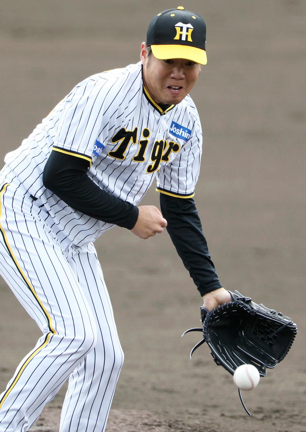 シート打撃で西勇はノイジーの投ゴロに反応する（撮影・上山淳一）
