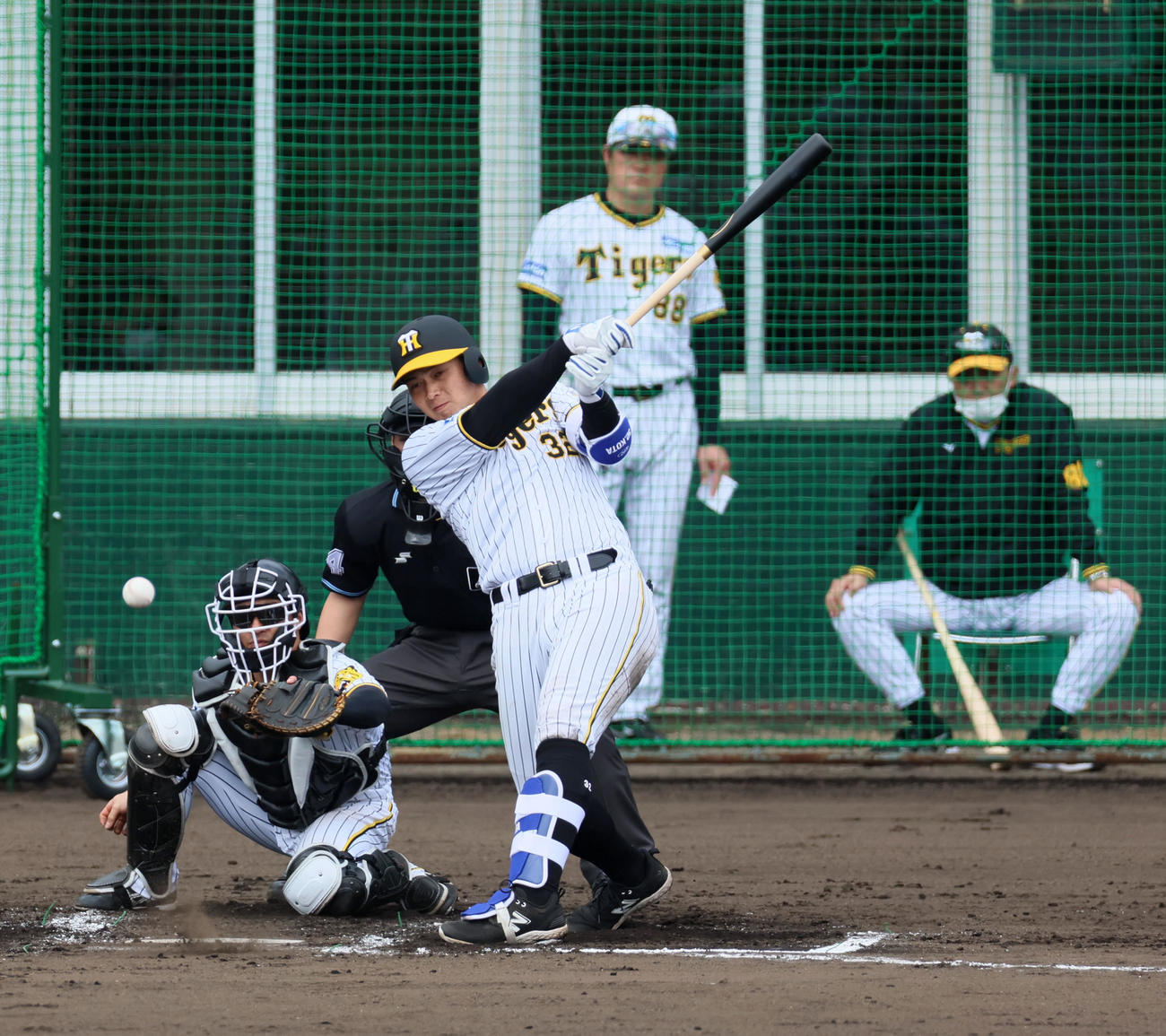シート打撃練習の1死一塁で中前適時打を放つ井上。右は岡田監督（撮影・加藤哉）