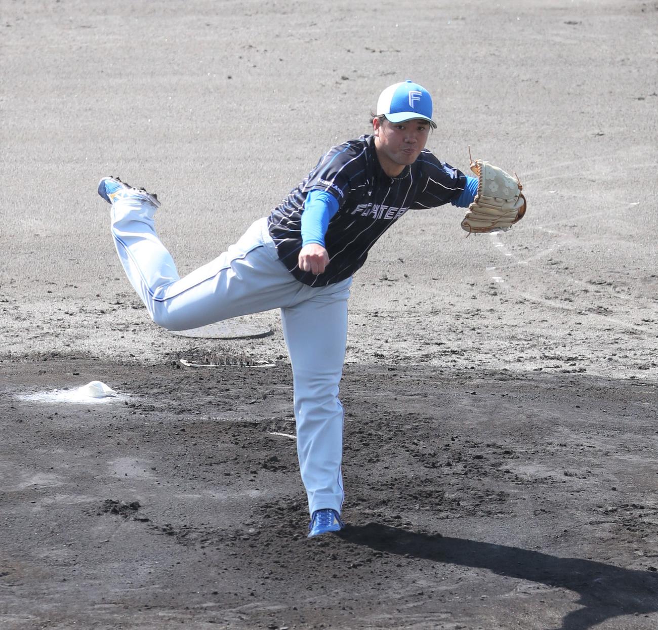 ライブBPで投球する日本ハム金村（撮影・黒川智章）