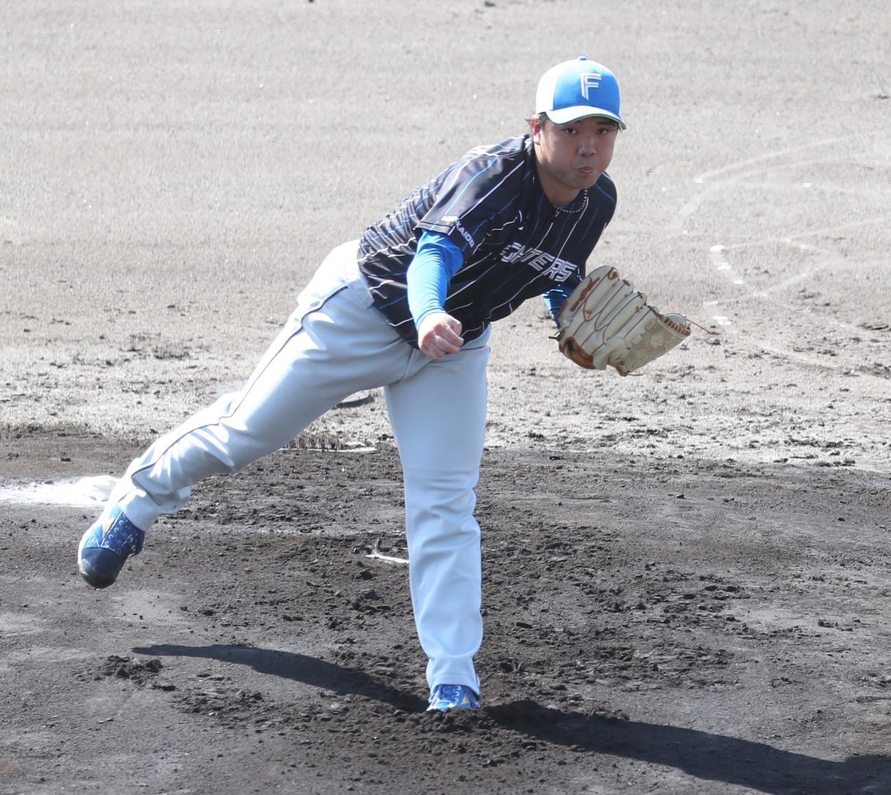 ライブBPで投球する日本ハム金村（撮影・黒川智章）