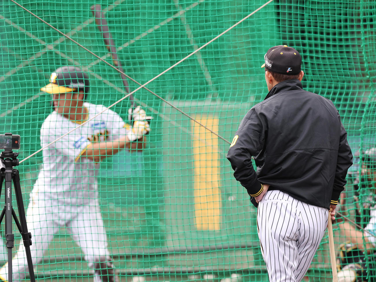 個別練習でフリー打撃を行う阪神板山（左）を見守る岡田監督（撮影・前田充）