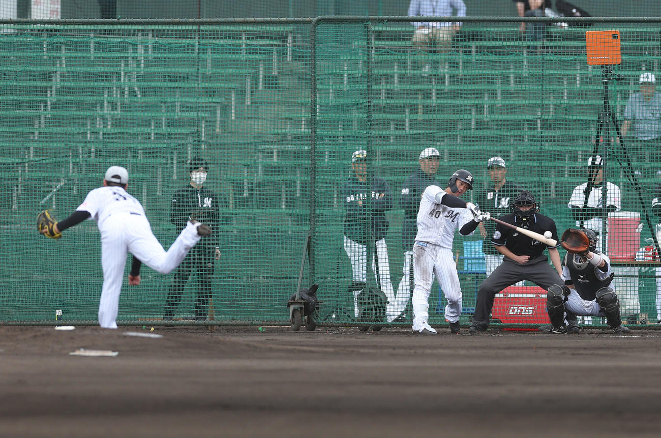 シート打撃するロッテ福田光。投手小野（撮影・河田真司）