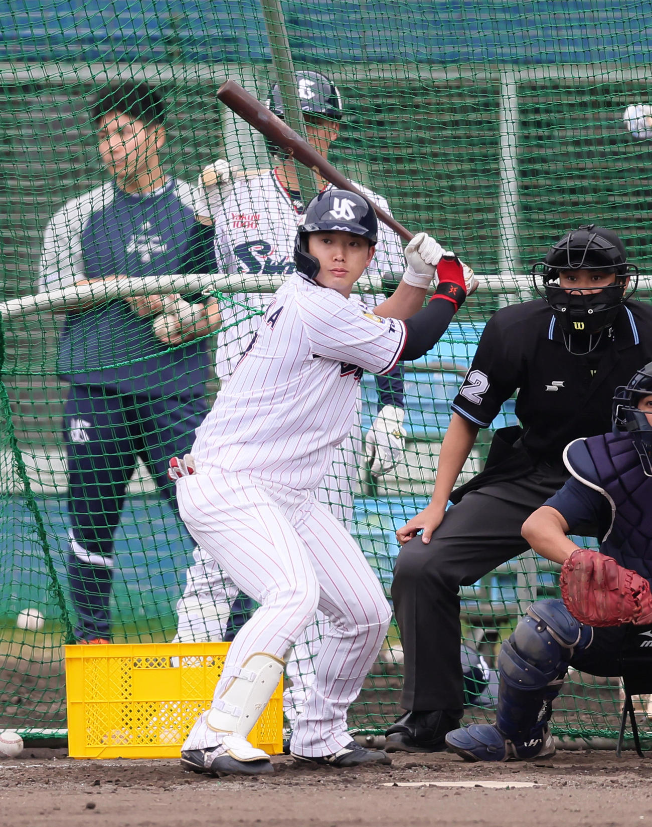 7日、ケース打撃を行うヤクルト長岡（撮影・足立雅史）
