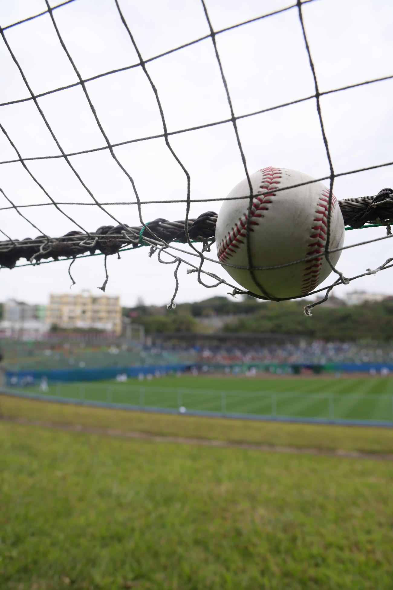 フリー打撃でヤクルト村上の放った柵越えの打球は外野の防球ネットにひっかかる（撮影・足立雅史）