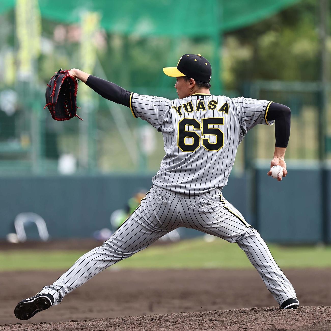 シート打撃練習で登板する湯浅（撮影・上田博志）