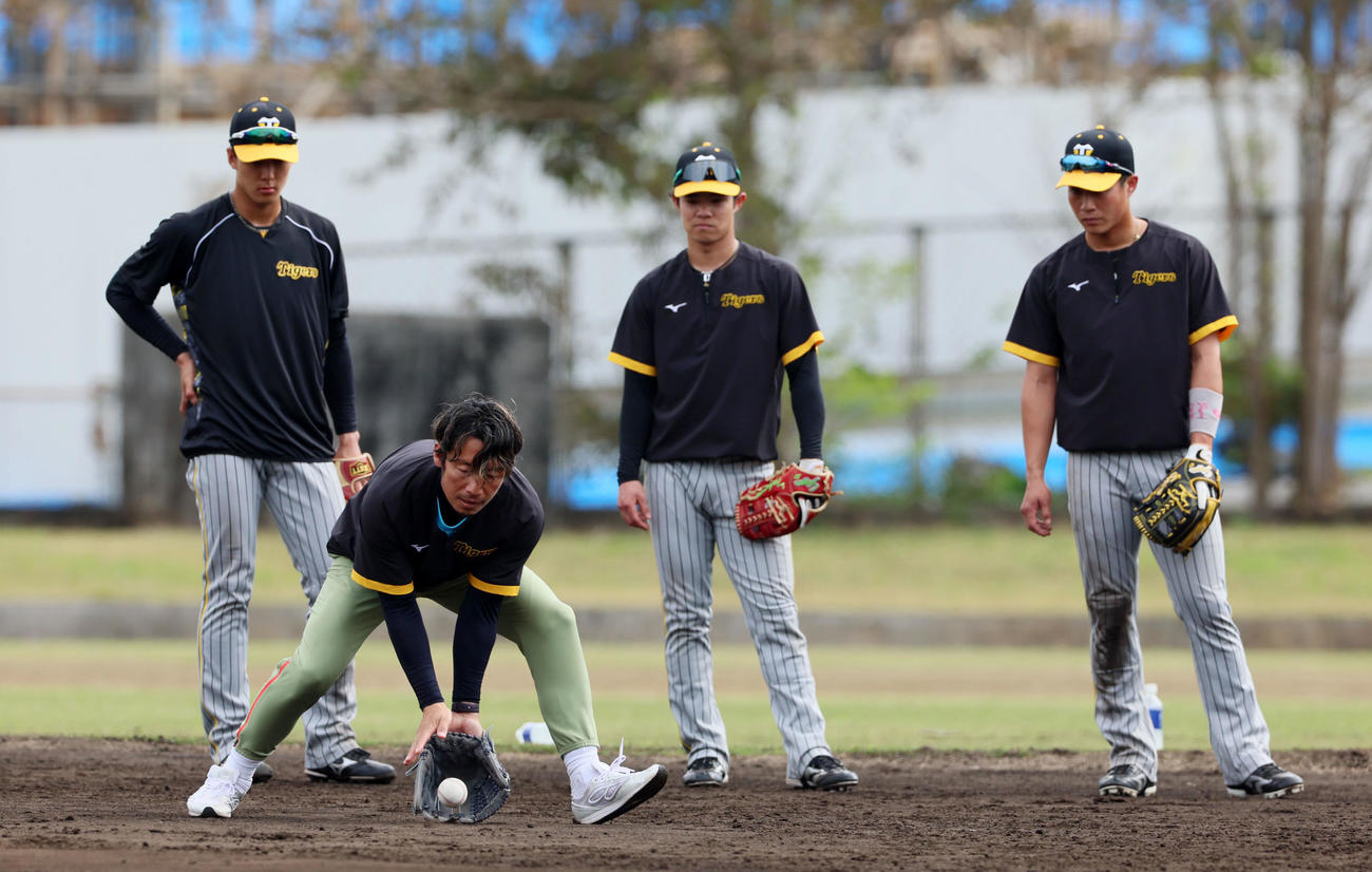 特守では鳥谷臨時コーチが自らノックを受け見本を示す。後方左から小幡、中野、木浪（撮影・加藤哉）
