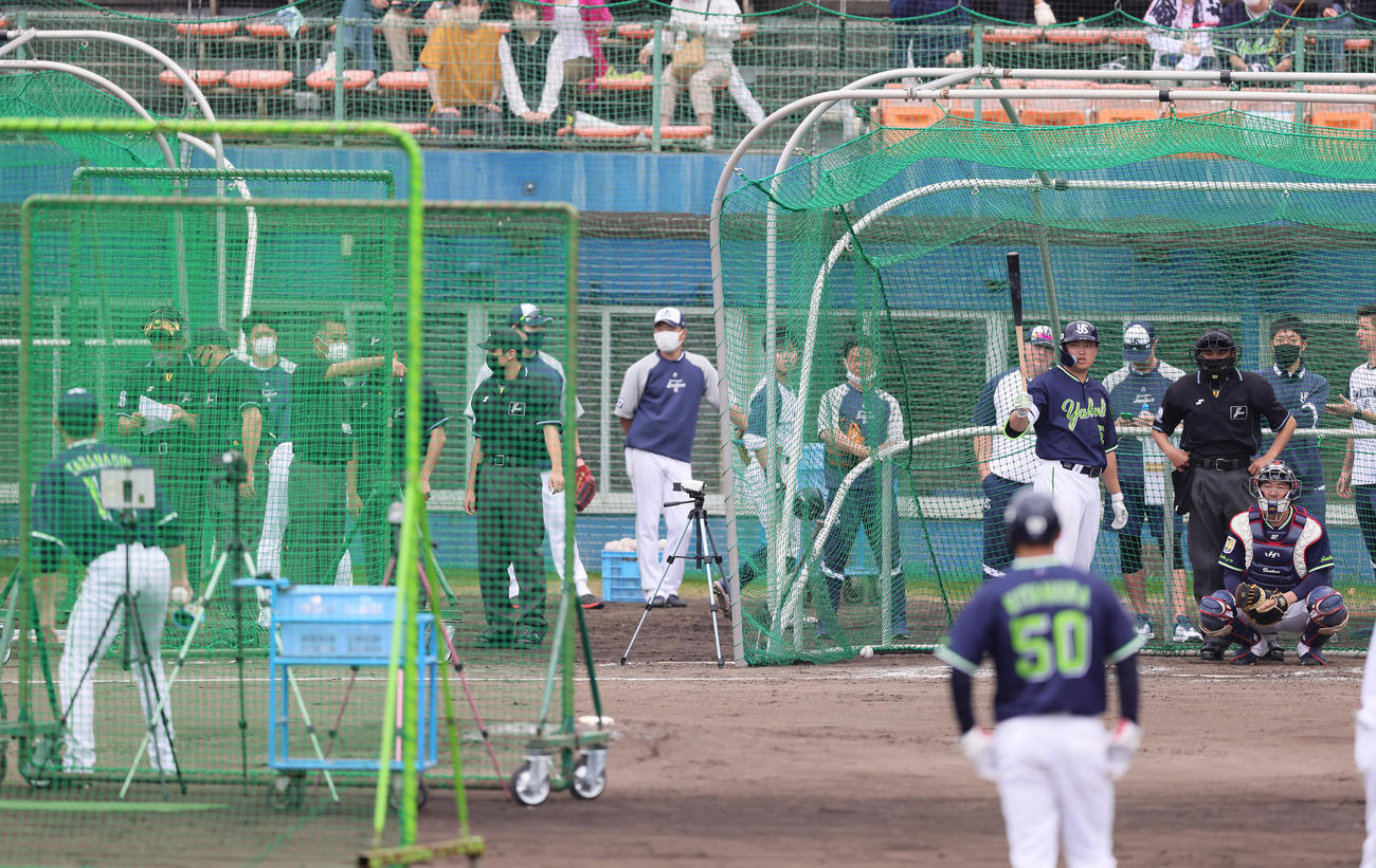 ヤクルト高梨（左端）を相手に打撃練習に臨むヤクルト村上（撮影・足立雅史）