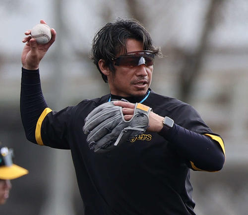 鳥谷敬 実使用OAKLEYリストバンド 本人使用 阪神】4年ぶり虎復帰の鳥谷敬臨時コーチが木浪、中野、小幡に授けた
