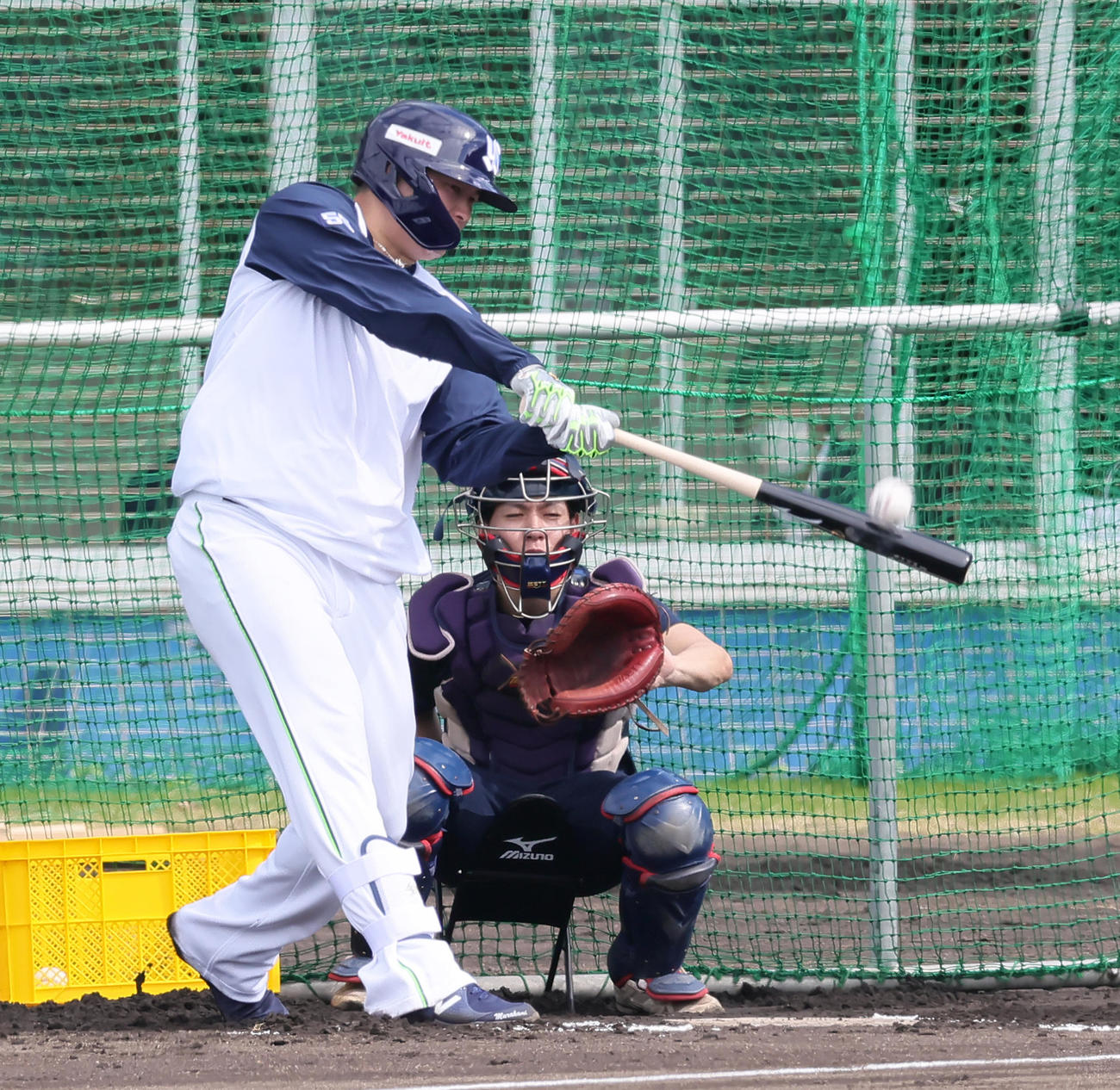 打撃練習を行うヤクルト村上（23年2月2日）