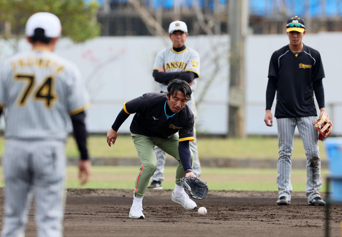 特守で自らノックを受ける鳥谷臨時コーチ（撮影・加藤哉）