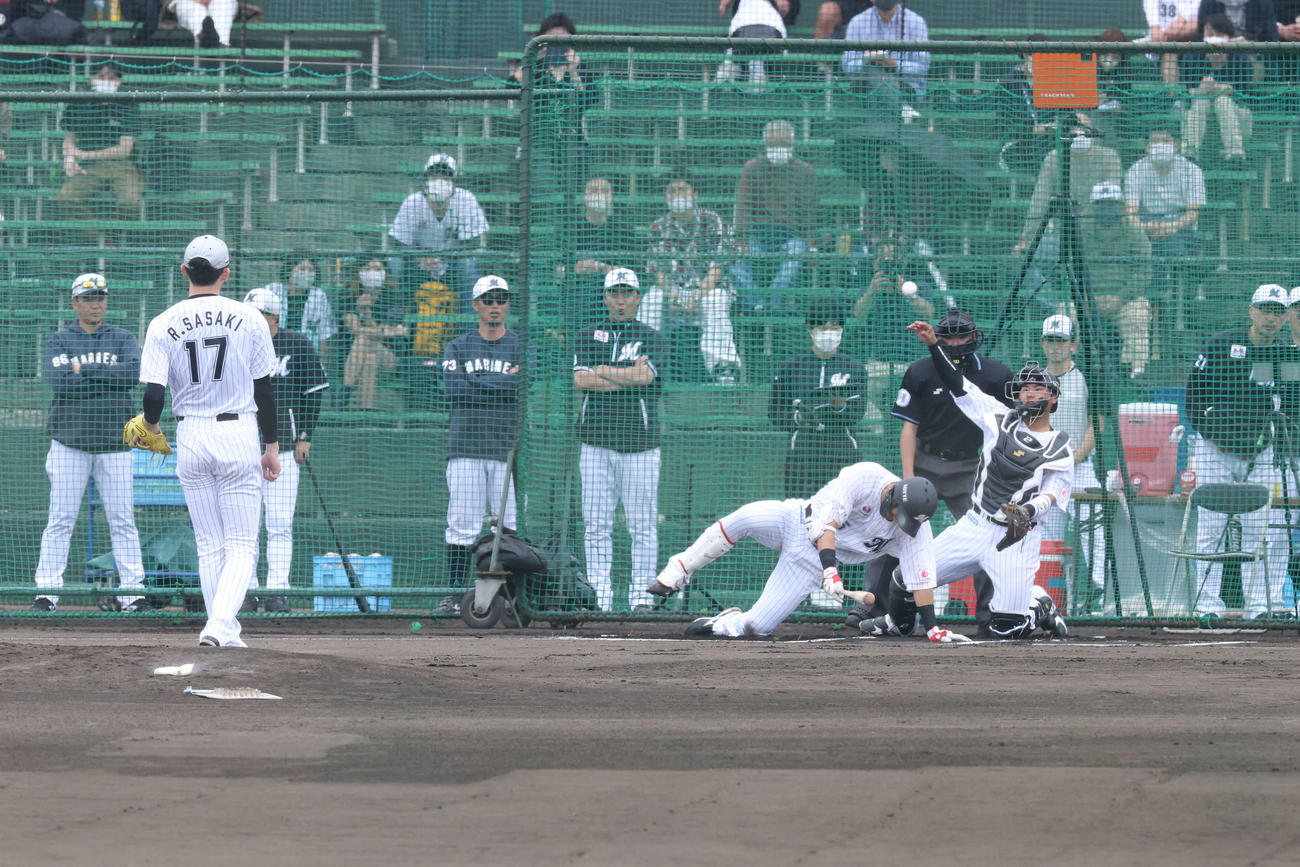 実戦形式の打撃練習で力投するロッテ佐々木朗。捕手松川、打者安田、後方右は吉井監督（撮影・河田真司）