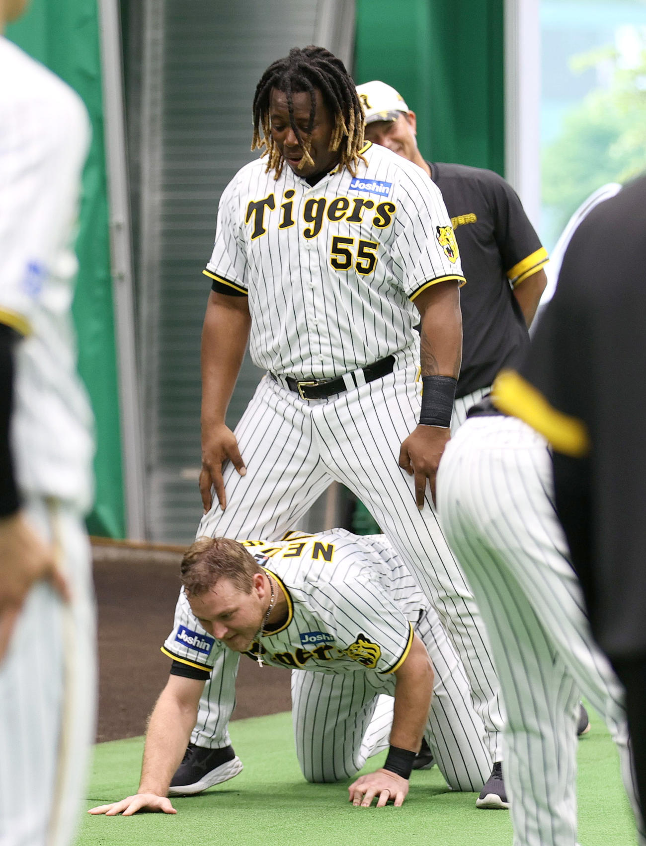 ノイジー（下）がミエセスにじゃんけんに勝ちトレーニングする（撮影・上山淳一）