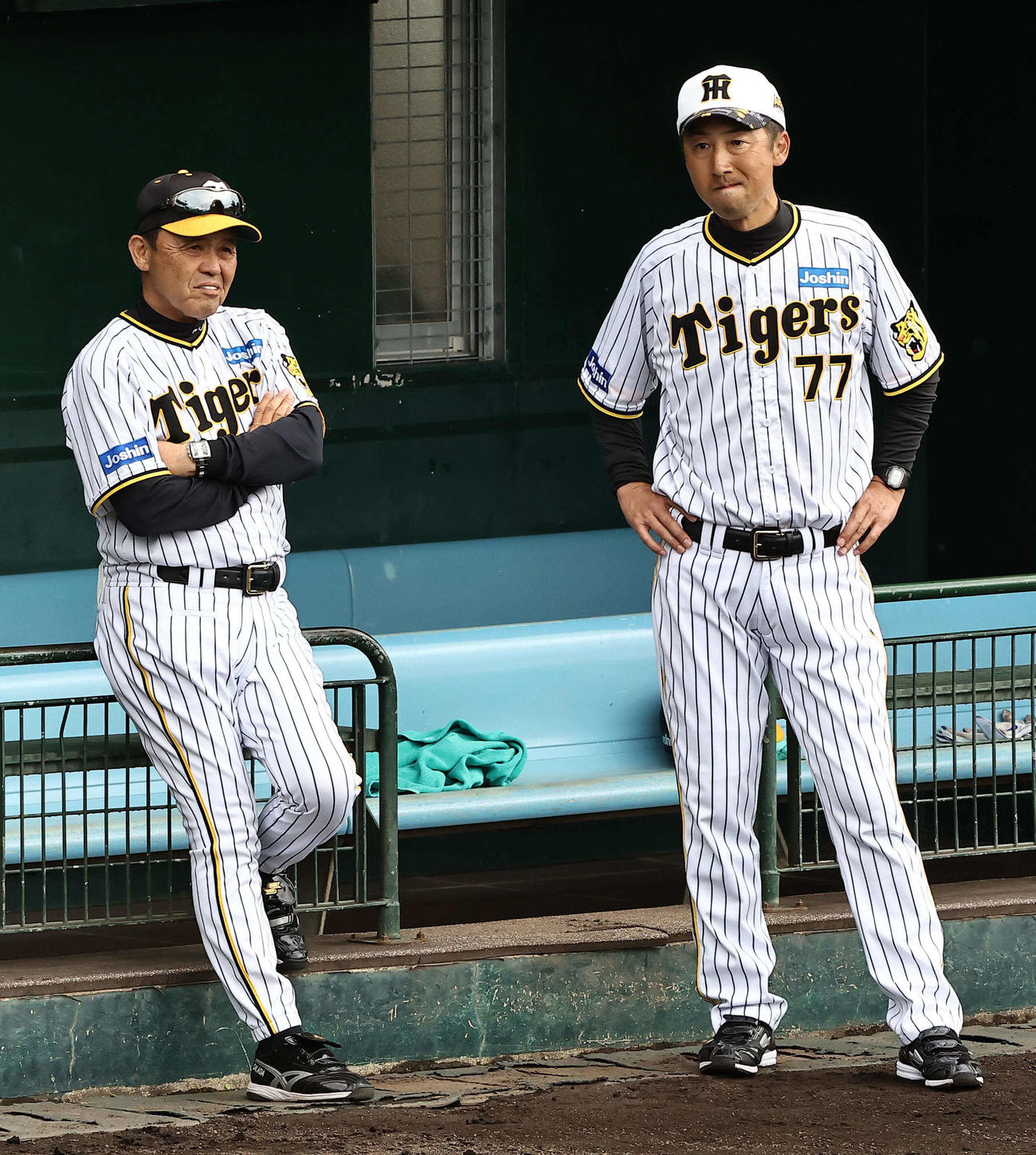 ベンチで打撃練習を見守る岡田監督（左）と今岡コーチ（撮影・上田博志）