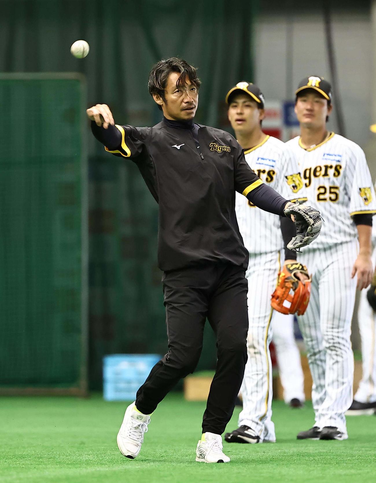 ノックのボールを送球する鳥谷臨時コーチ（撮影・上田博志）