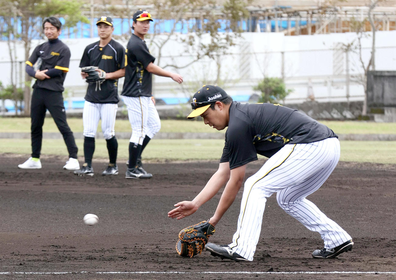鳥谷臨時コーチ（左）の指導でノックを受ける大山（右）。中央左は熊谷、同右は渡辺諒（撮影・上山淳一）