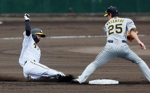 1回裏白組1死一塁、一塁走者中野は二塁盗塁を決める。野手は渡辺諒（撮影・加藤哉）