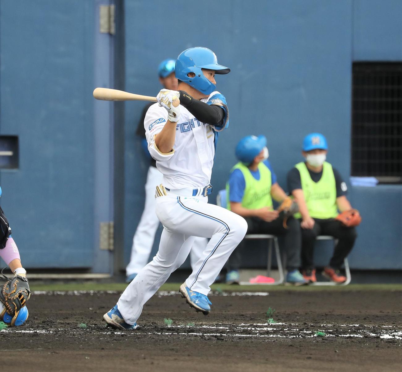 紅白戦　1回裏白組無死、投手強襲安打を放つ矢沢（撮影・黒川智章）