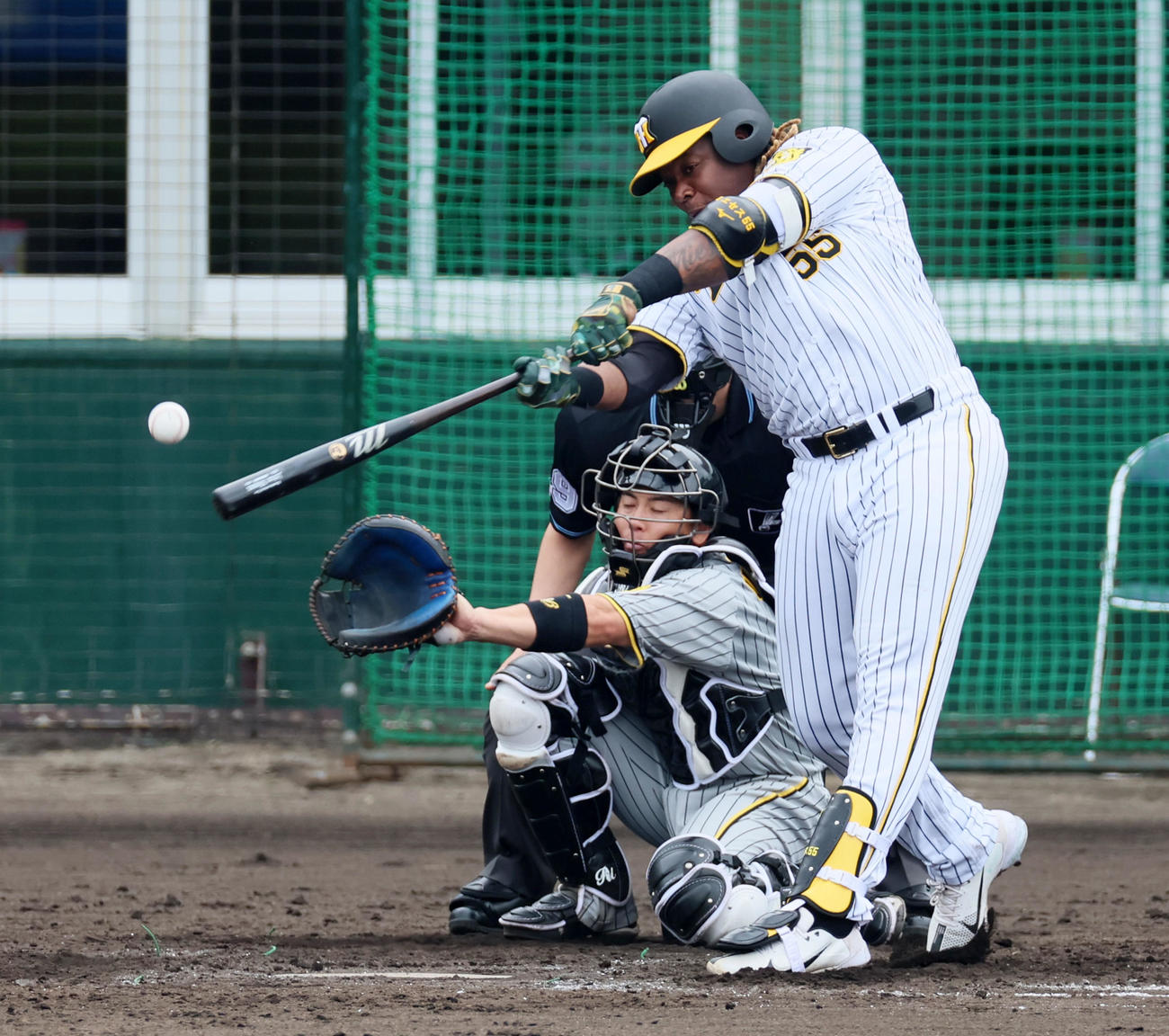 6回裏白組2死二塁、ミエセスは中前適時打を放つ（撮影・加藤哉）