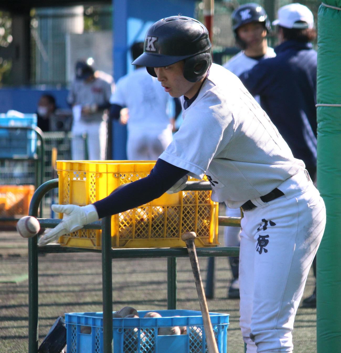 ティー打撃のサポートをする慶大の新入生、小原（撮影・保坂恭子）