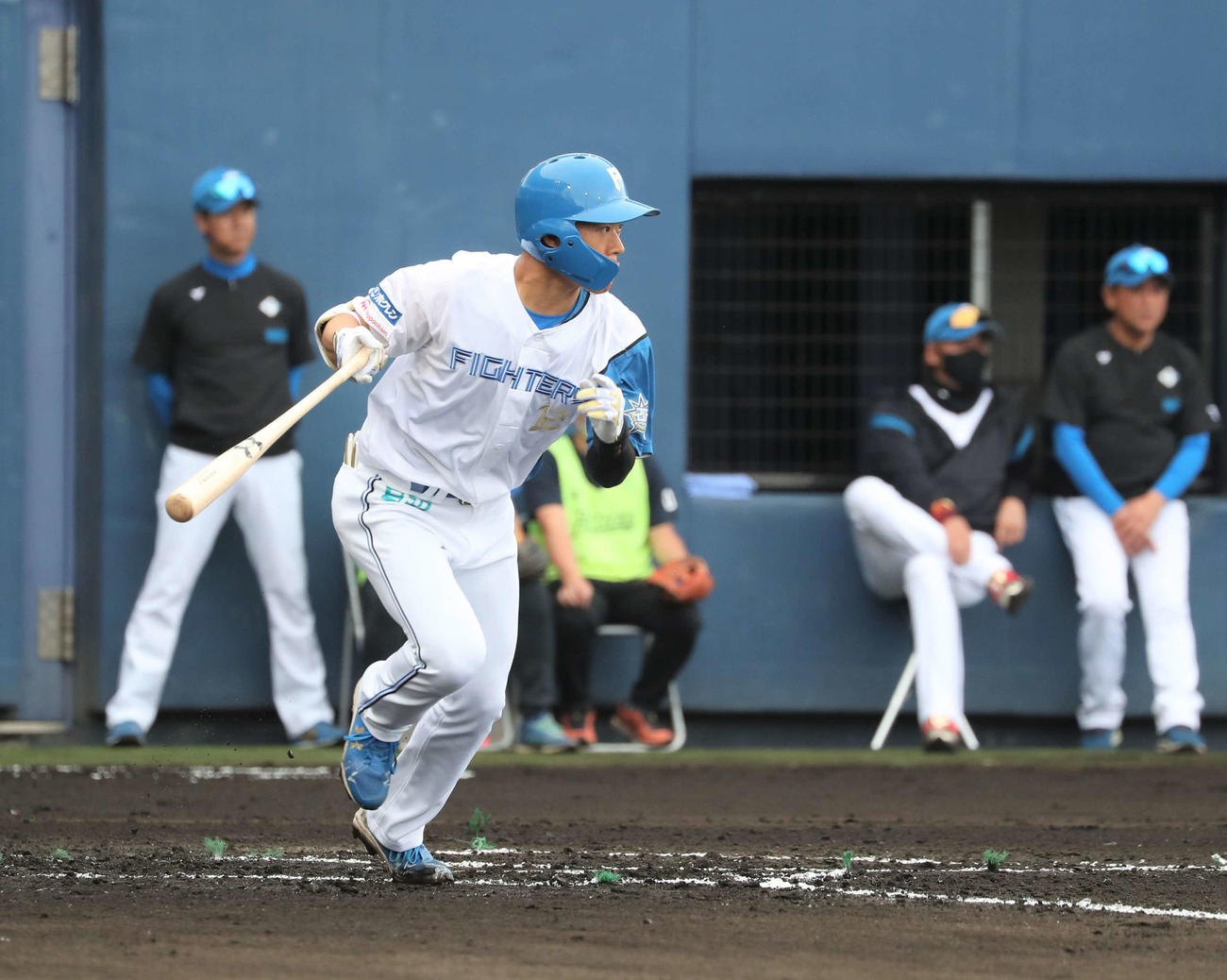 紅白戦　1回裏白組無死、投手強襲安打を放つ矢沢（撮影・黒川智章）