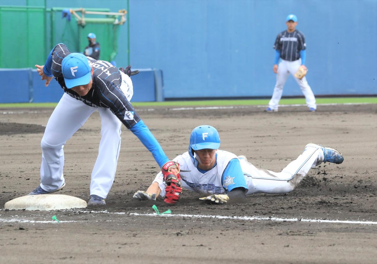 紅白戦　3回裏白組2死一塁、牽制死する矢沢（撮影・黒川智章）