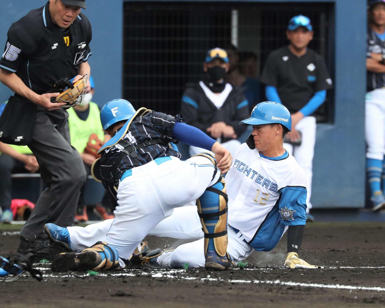 紅白戦　1回裏白組1死二、三塁、アルカンタラの左前打で三塁走者矢沢が本塁を突くもアウトとなる。捕手宇佐見（撮影・黒川智章）