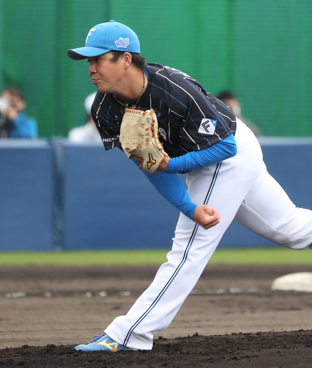 紅白戦　2回に登板し打者を3人で抑える金村（撮影・黒川智章）
