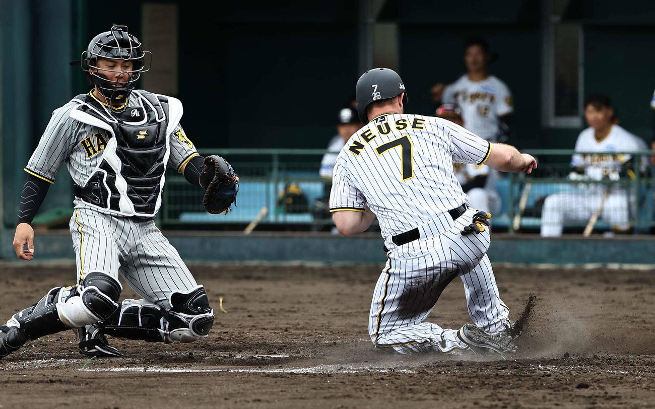 1軍紅白戦　6回裏白組2死二塁、ノイジー（右）はミエセスの中前適時打で生還する。捕手は梅野（撮影・上田博志）