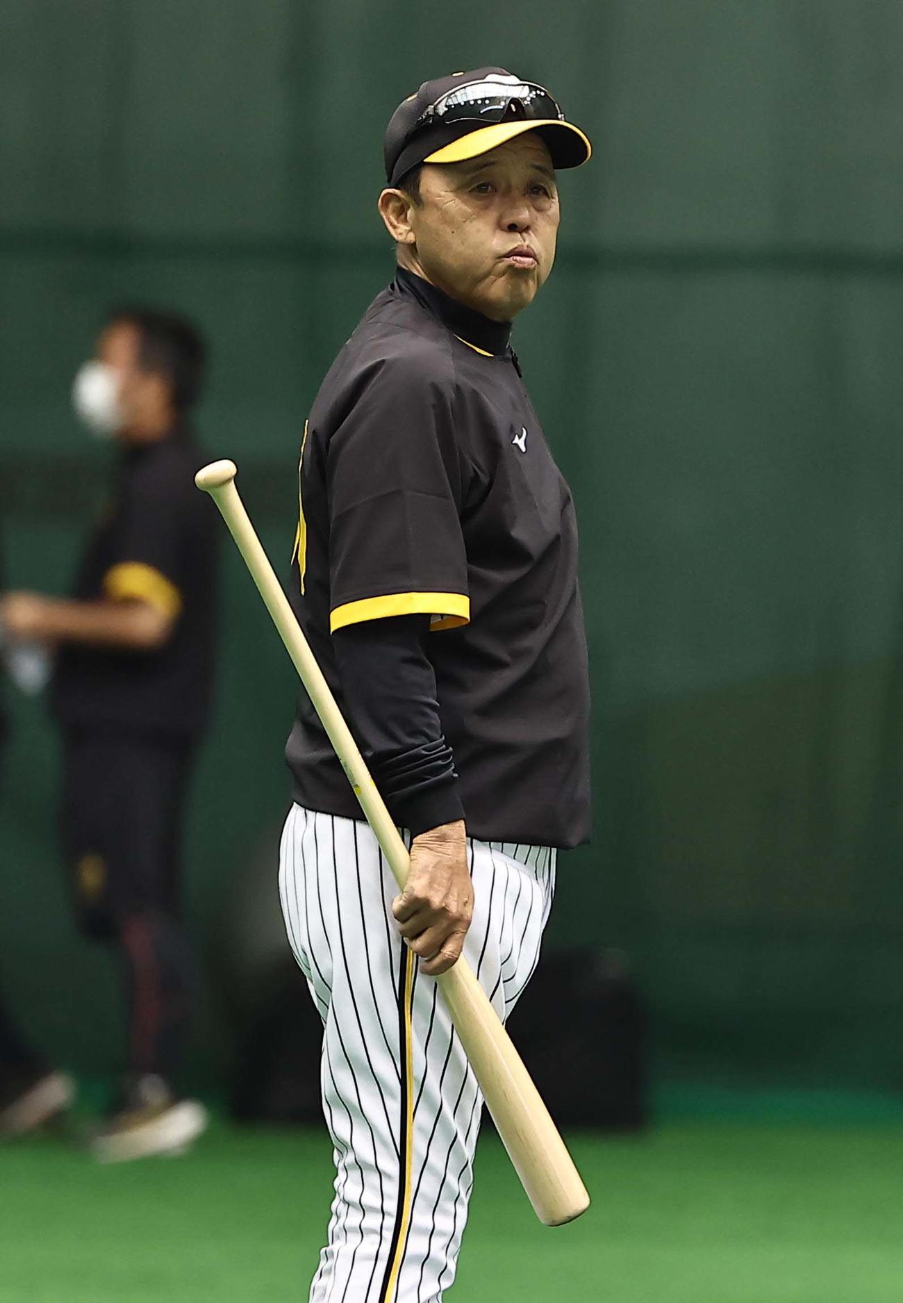 練習を見る岡田監督（撮影・上田博志）