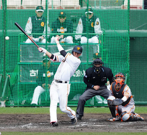 巨人紅白戦　4回裏白組1死、中前打を放つ秋広（撮影・江口和貴）