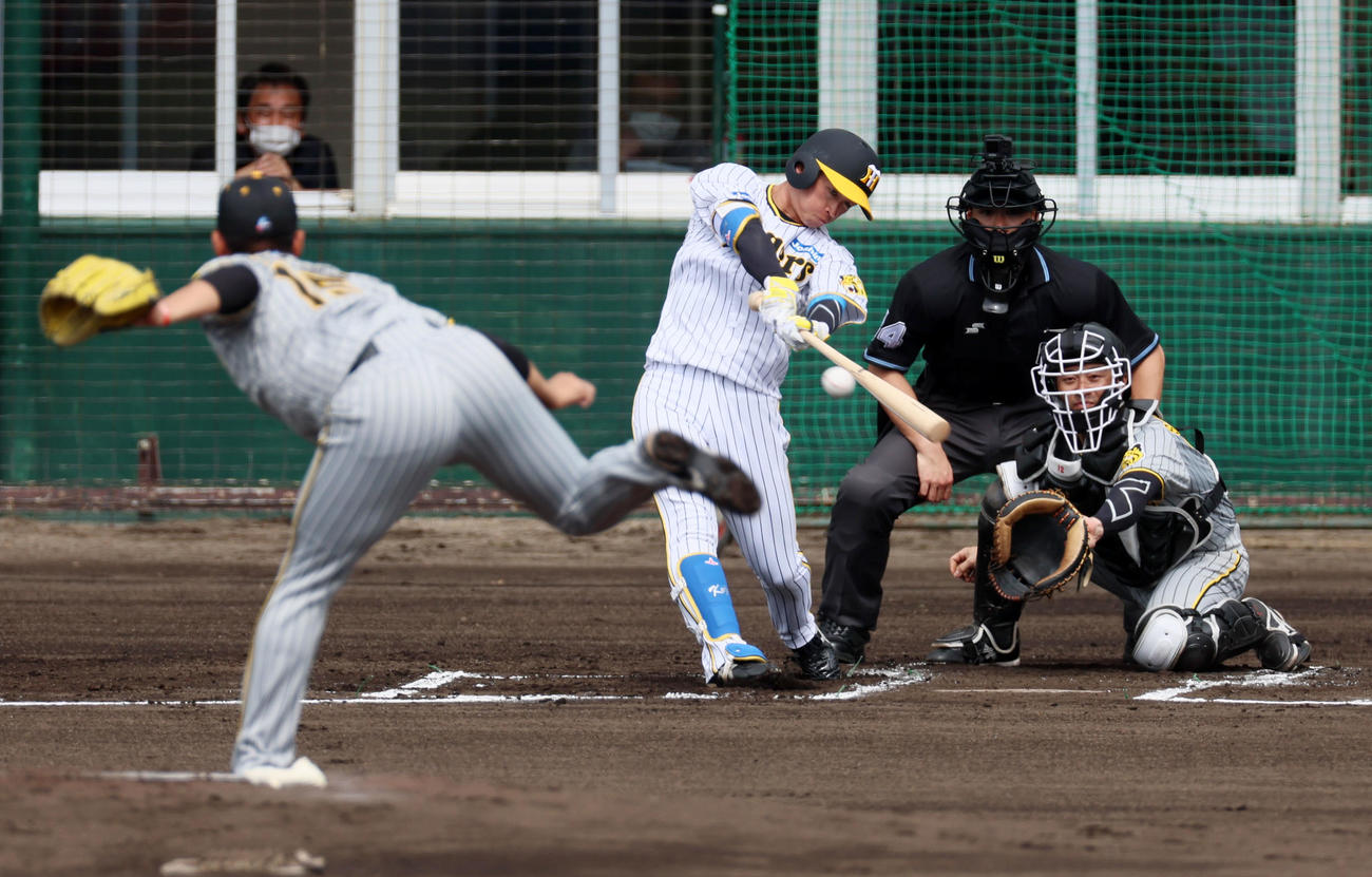 紅白戦　1回裏白組無死、近本は右前打を放つ。投手は西純（撮影・加藤哉）