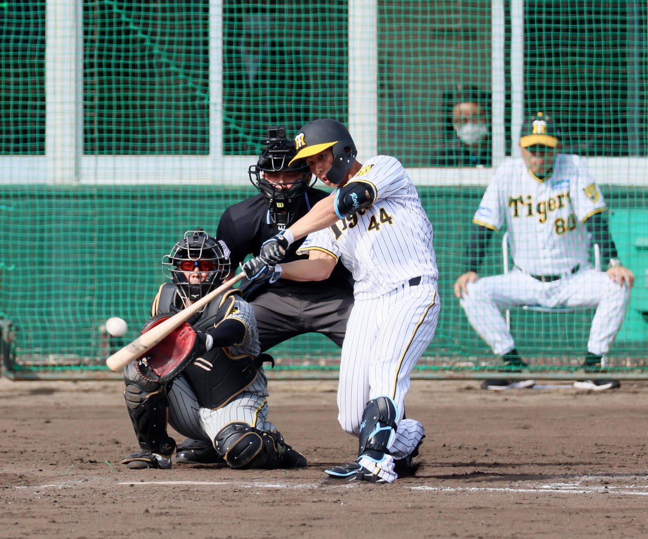 紅白戦　回裏白組1死、戸井は右前打を放つ（撮影・加藤哉）