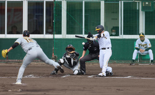 紅白戦　1回裏白組2死二塁、大山は左へ適時打を放つ。投手は西純。右は岡田監督（撮影・加藤哉）