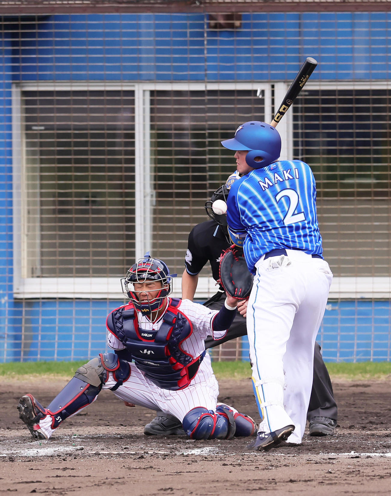 練習試合　ヤクルト対DeNA 7回表DeNA無死、牧は死球を受ける（撮影・足立雅史）