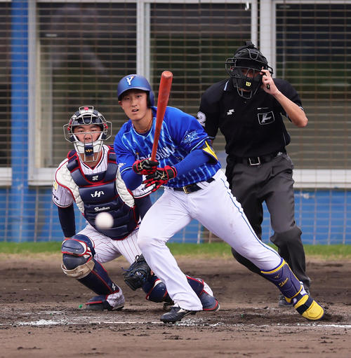 練習試合 ヤクルト対DeNA 5回表DeNA1死、遊ゴロに倒れた松尾(撮影・足立雅史)