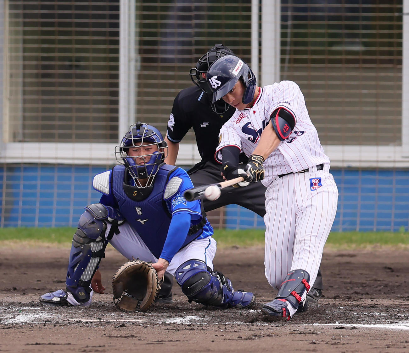 ヤクルト対DeNA 6回裏ヤクルト1死一、三塁、左前適時打を放つ内山。捕手松尾（撮影・足立雅史）