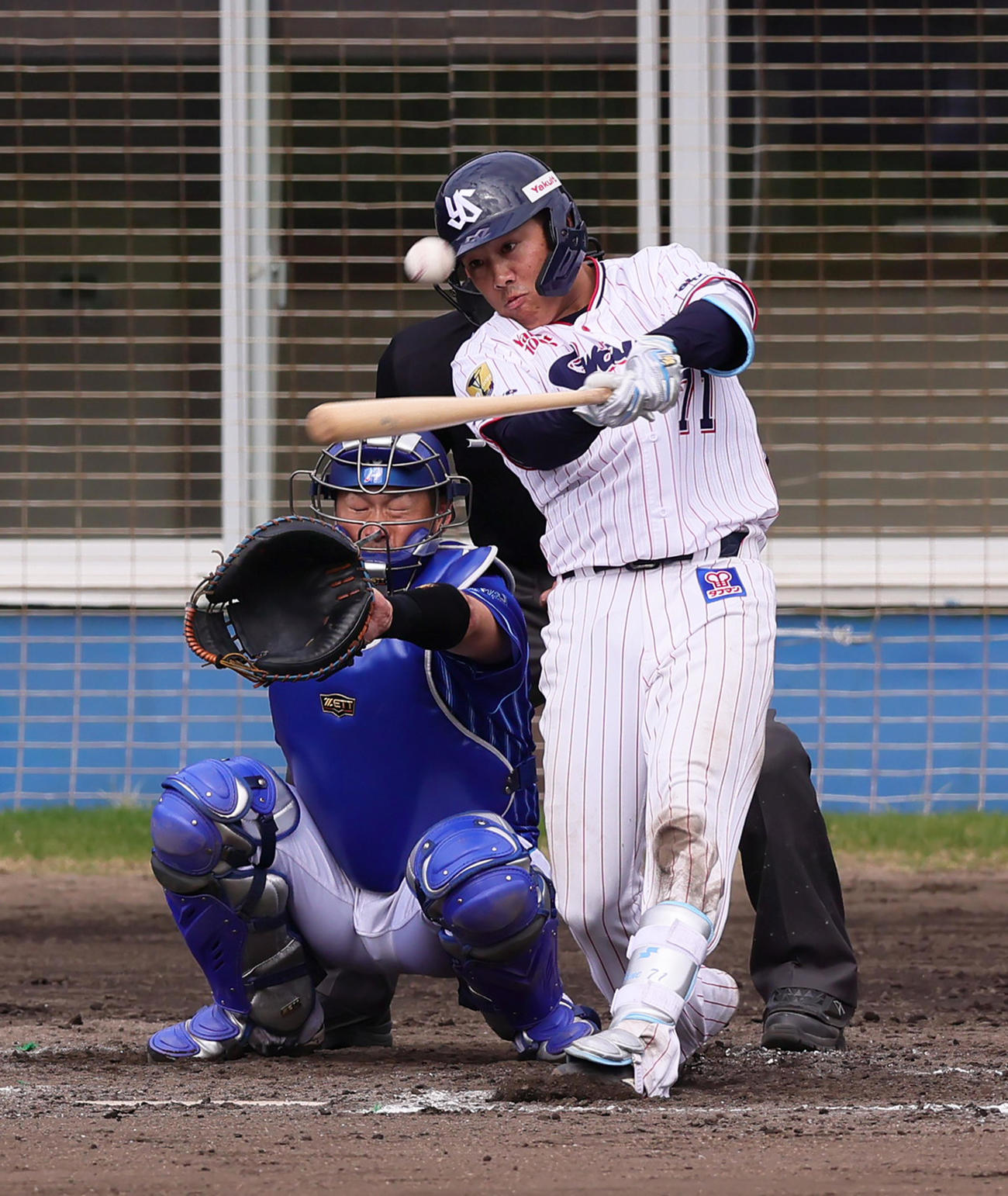 ヤクルト対DeNA 8回裏ヤクルト1死一，二塁、赤羽は左越え3点本塁打を放つ（撮影・足立雅史）