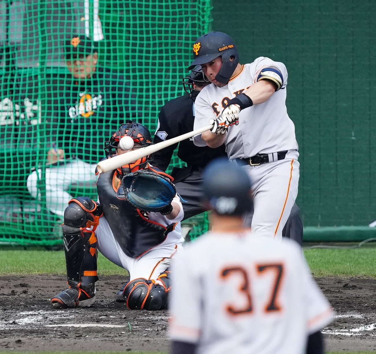 巨人紅白戦　4回表紅組無死二塁、左前打を放つ浅野（撮影・江口和貴）