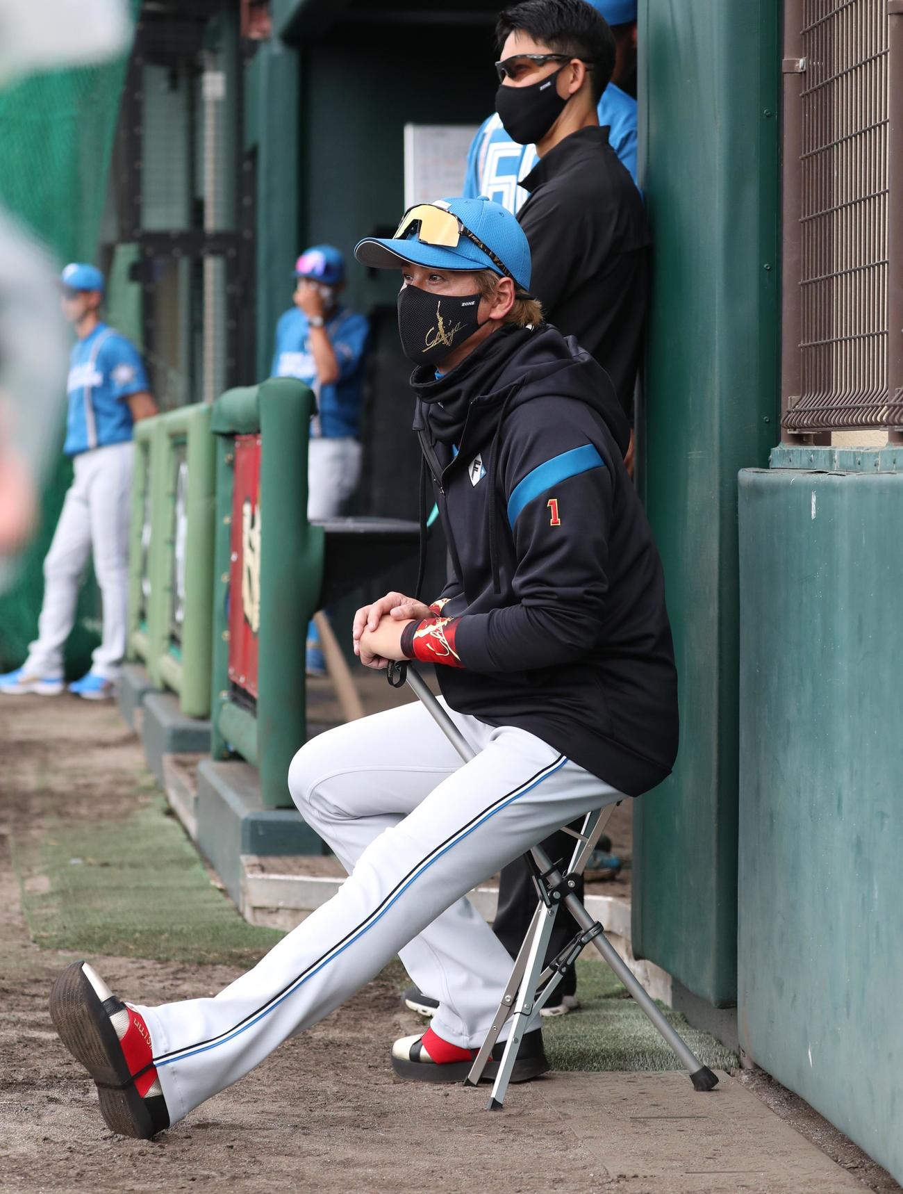 楽天対日本ハム　試合を見つめる新庄監督（撮影・黒川智章）